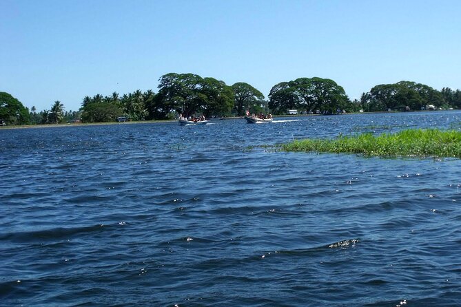 Boat Tour in Tissamaharama Lake - Inclusions Provided