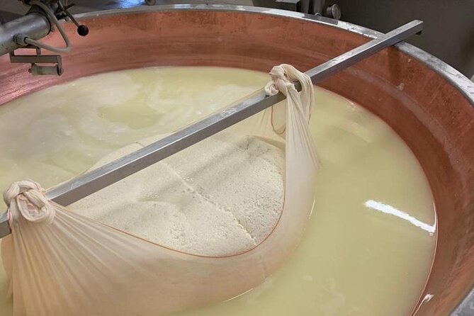 Bologna Parmesan, Wine, Balsamic Day Tour, Pasta Cooking Class - Booking and Cancellation Policy