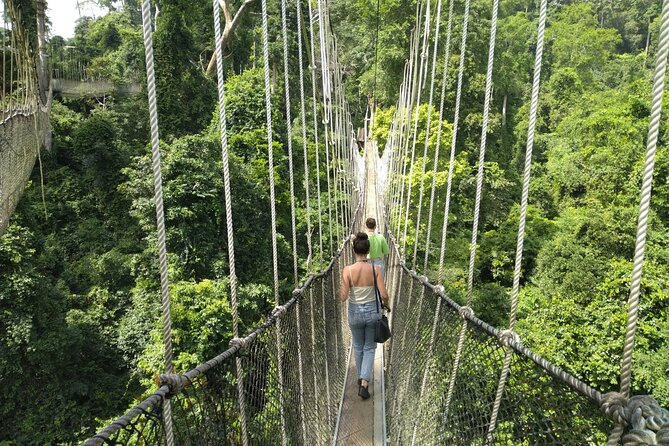 Bonsu Aboretum Canopy, Cocoa Research & Aburi Gardens - Directions for Better Organization