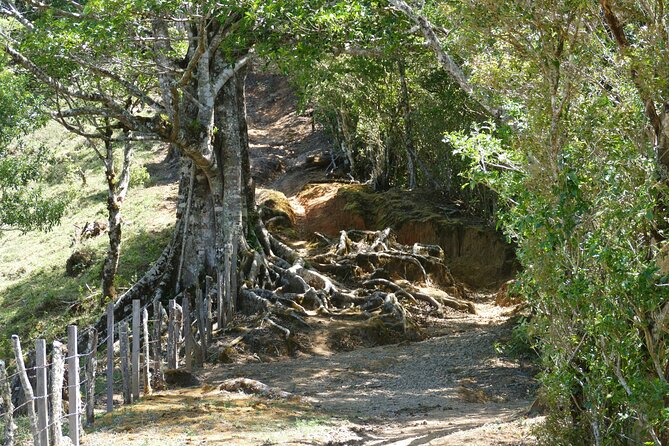 Boquete Private 360° View Tour - Cancellation and Flexibility