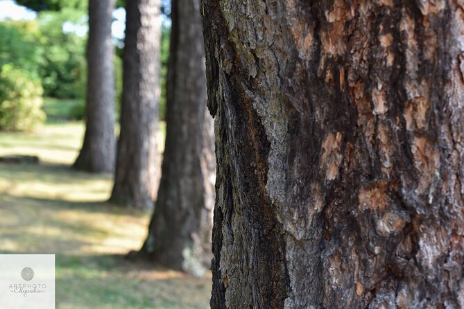 Botanical Photo Tour in Parco San Grato Lugano With Contest - Photo Contest Prize Details