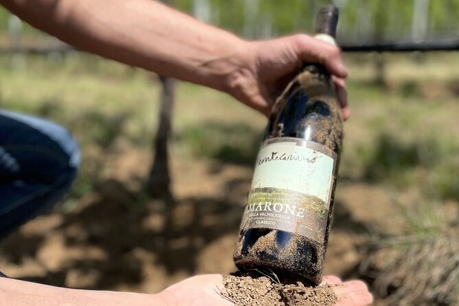 Boutique Winery Tour & Tasting in Valpolicella - Vineyard Exploration Highlights