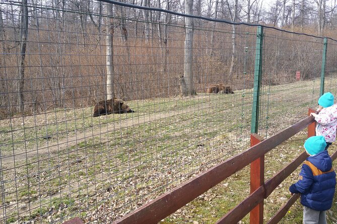 Bran Castle, Bear Sanctuary and Palinca From Brasov With Tickets - Start Time
