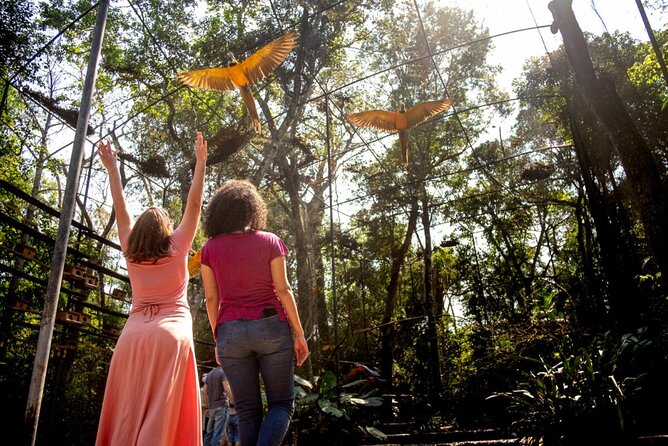 Brazilian Side of the Cataratas and Parque Das Aves With Tickets - Meeting Point Details