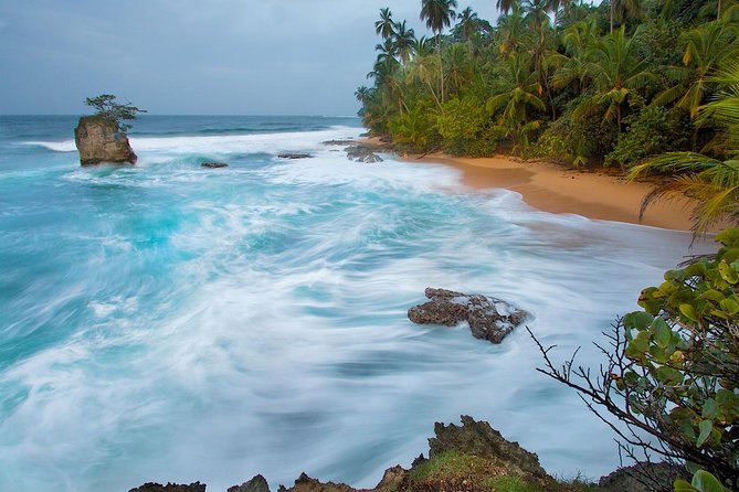 BRIBRI Chocolate Tour & Cahuita National Park From San Jose - Tour Highlights
