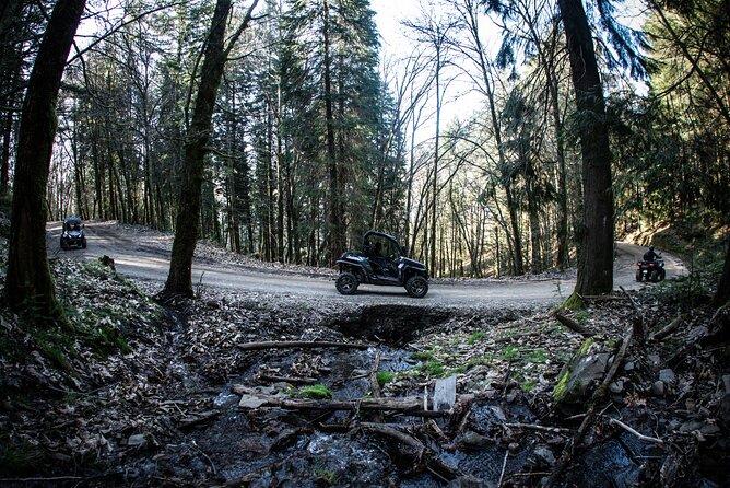 Buggy Tour in Serra Da Lousã 2 Hours - Price and Booking