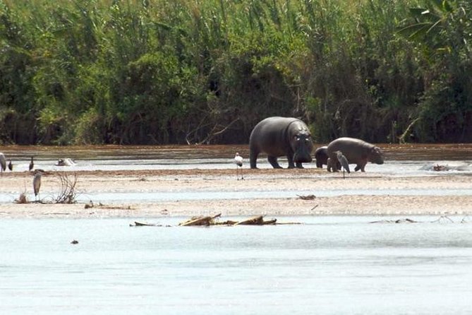 Bujumbura City Tour (Half Day) - End Point Information