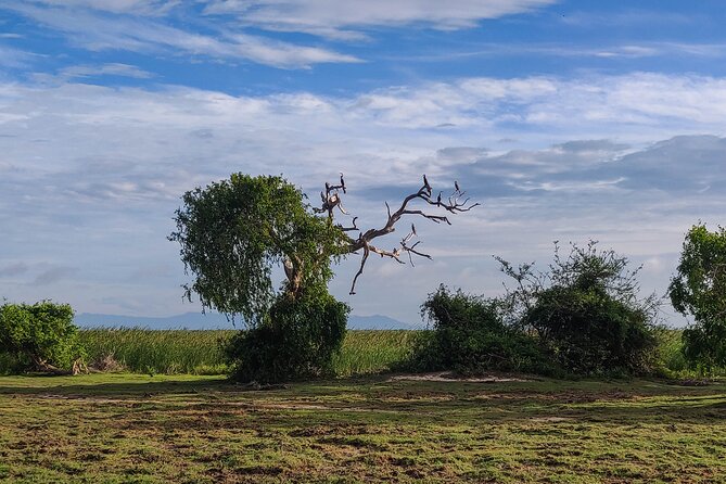 Bundala National Park Safari From Galle - Pickup Information