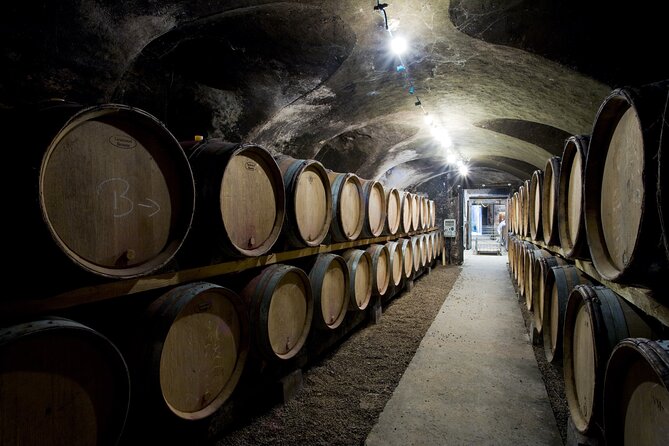 BURGUNDY : Wine Tasting & Visits- Private Day Trip From Paris - Additional Info