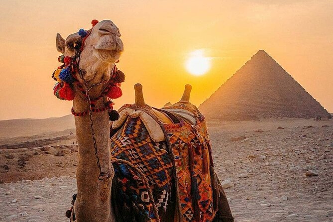 Cairo Day Tour Pyramids- Cairo Museum-Khan Al-Khalili - Additional Considerations