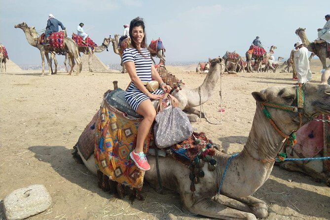Cairo Layover Private Full Day Tour Giza Pyramids, Sphinx, and Cairo Museum - Directions and Tour Operator