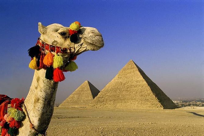 Cairo Stopover Tour From Cairo Airport to Giza Pyramids and the Egyptian Museum - Cancellation Policy