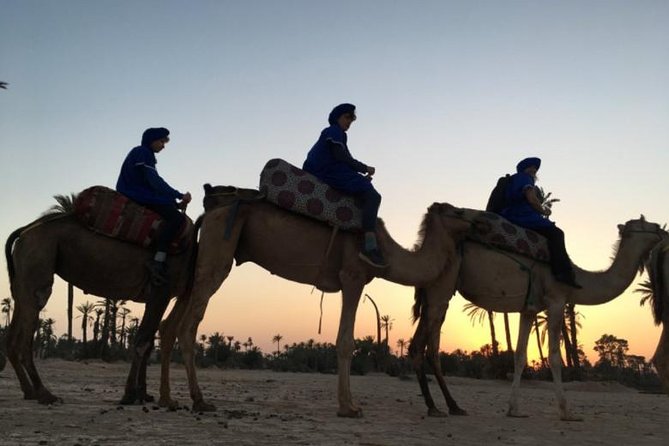 Camel Ride in the Sunset - Important Information