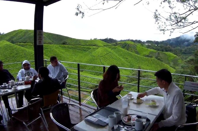 Cameron Highland Day Tour - Pickup Details