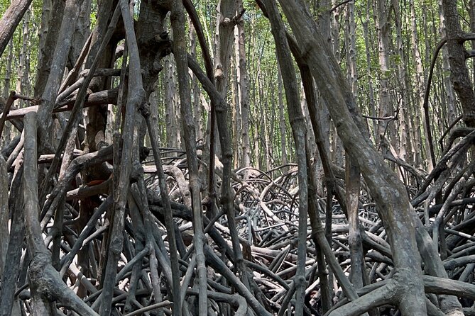 Can Gio Mangrove Forest And Thanh An Island Private Tour - Frequently Asked Questions