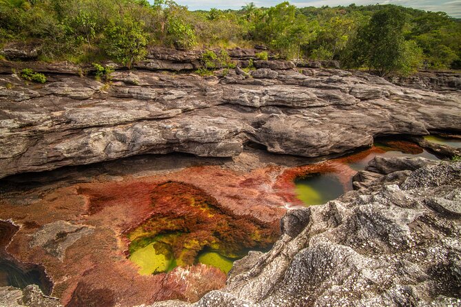 Caño Cristales Private 3-Day Trekking Tour From Bogota - Inclusions and Exclusions