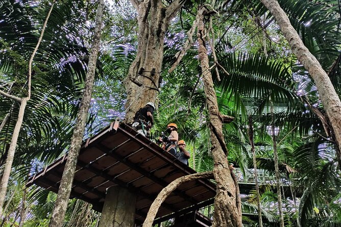 Canopy in Gamboa and Visit to the Sloth Sanctuary - Travel Directions