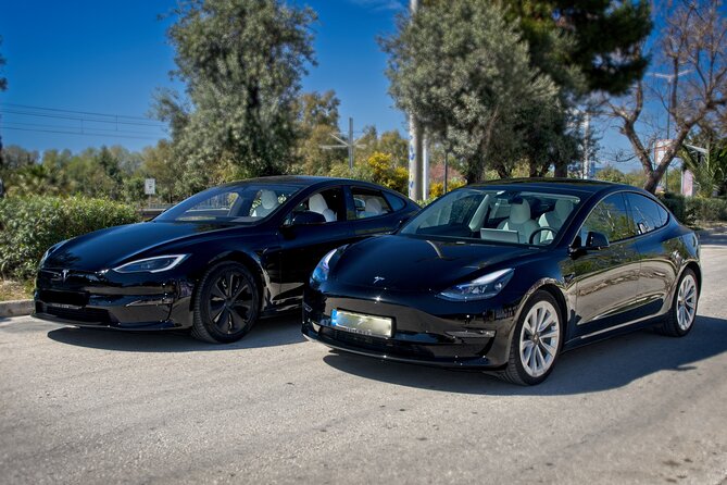 Cape Sounio Private Tour From Athens Half Day With Tesla - Accessibility Information