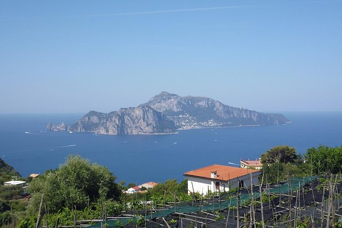 Capri & Positano Exclusive Day Trip Experience From Sorrento - Scenic Positano Exploration