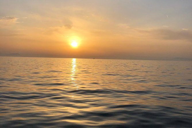 Capry by Night - Price and Booking