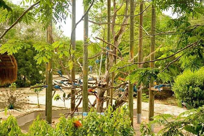 Cartagena National Aviary Private Tour - Inclusions and Exclusions