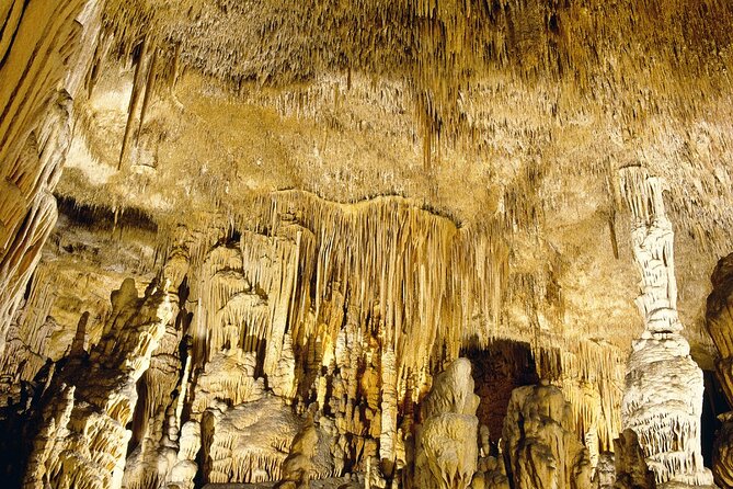 Caves Drach Tour & Return Transfer From Cala Dor-Calas Mallorca - Additional Information