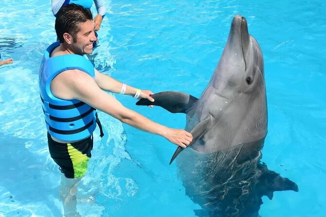 Cheap Trip: a Dolphin Trip in Hurghada.