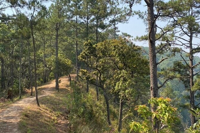 Chiangmai Sunrise Hike - Cancellation and Reservation Policy