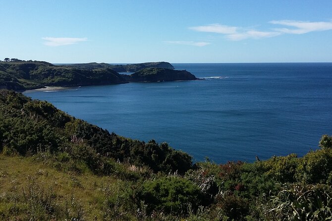 Chiloé for the Day: Ancud and Puñihuil, PRIVATE - Operator and Pricing Information