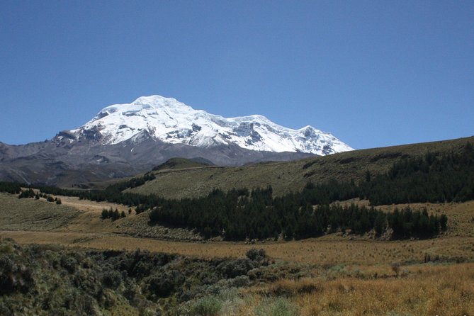 Chimborazo Volcano and Condor Cocha Lagoon Day Tour - Price and Availability