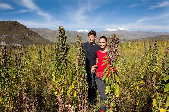 Chinchero Weaving Textiles , Moray & the Salt Mines - Pickup Information