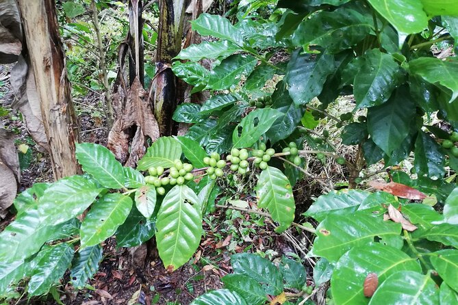Chiquimula and Its Window to the Sky - Natural Wonders