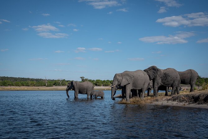 Chobe National Park 3 Days / 2 Nights - Inclusions and Exclusions