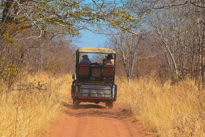 Chobe National Park Camping Safari From Victoria Falls (2 Days and 2 Nights) - Inclusions and Exclusions