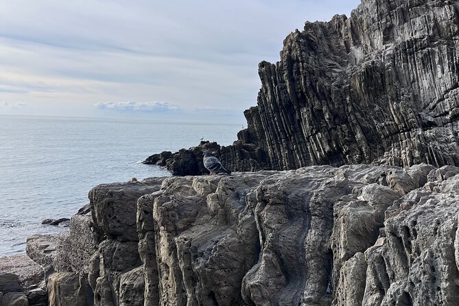 Cinque Terre Private Tour From Florence - Booking Details