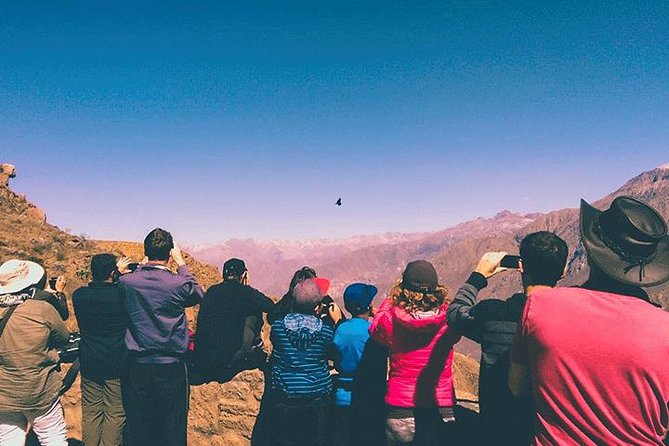 Classic Trekking to the Colca Canyon (3d - 2n) - Pickup and Transportation