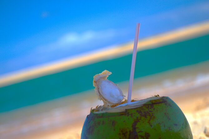 Coconut Beach Costal Day Tour With Lunch at the Jaquipe River - Inclusions of the Tour