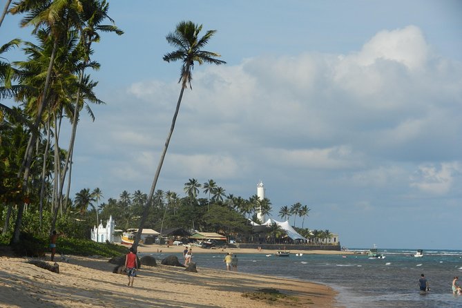 Coconut Coast and Praia Do Forte - the Famous Beaches - Reviews and Ratings