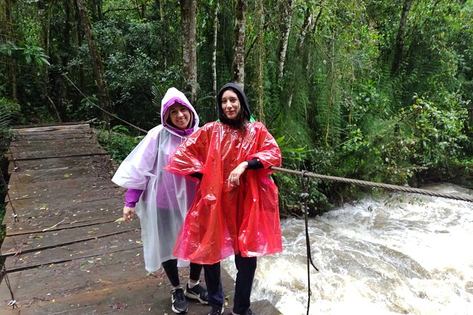 Cocora Valley and Salento Hike Tour - Communication With Your Guide