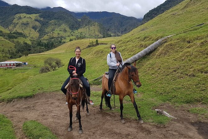 Cocora Valley and Salento Horseback Riding Day Tour - Reviews and Cancellation Policy