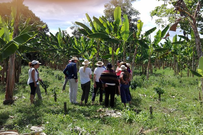 Coffee & Banana - Accessibility and Participation