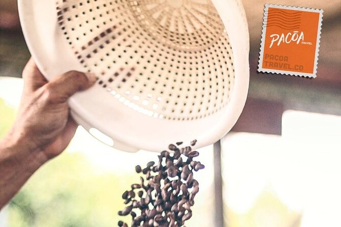 Coffee Heritage, a Multisensory Experience - Accessibility Features