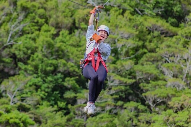 Combo Original Canopy (Tarzan Swing - Hanging Bridges - Rappel & Climb Tree - Meeting Point