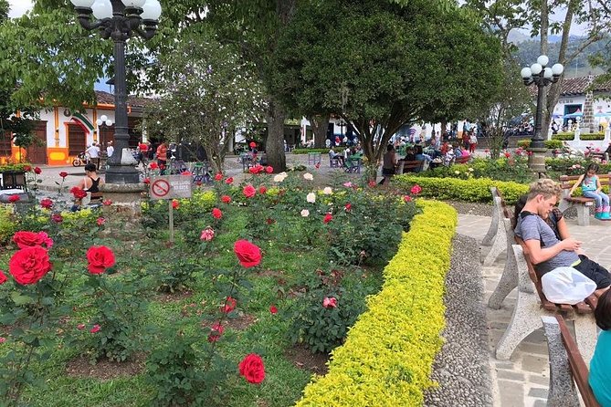 Combo Tour: Coffee and Christmas Lights Tour From Medellín - Frequently Asked Questions