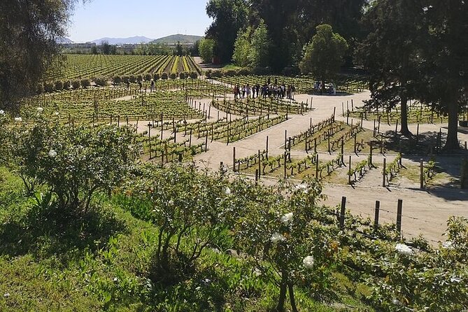 Concha Y Toro Extended Tour With 7 Tastings Plus Lapis Lazuli - Booking Details