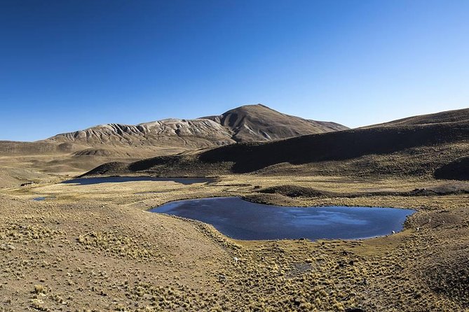 CONDORIRI Mountain 5650m. 2 DAYS 1 Night. Trekking. English Guide. Shared Tour - Why Choose This Tour
