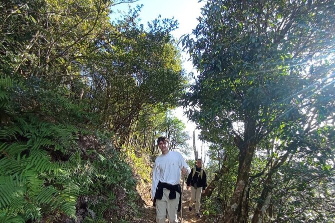 Conquer Fansipan Peak in 1 Day Trek by Comlam - Trail Difficulty Level