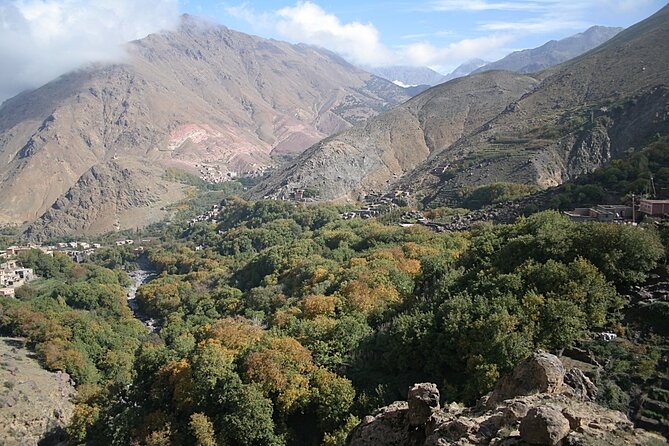Cooking Class in Atlas Mountain From Marrakech - Menu Highlights