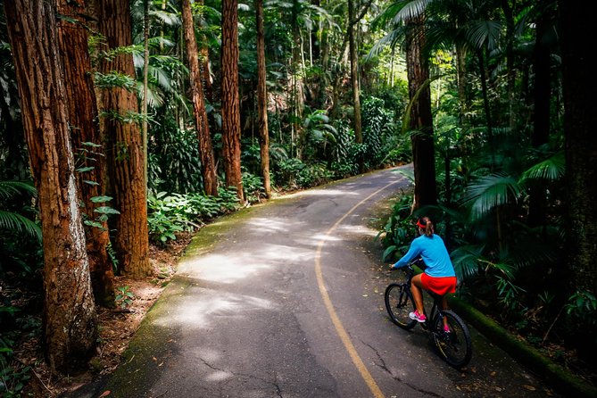 Corcovado Mountain Bike, Christ the Redeemer and Paineiras - Tour Details