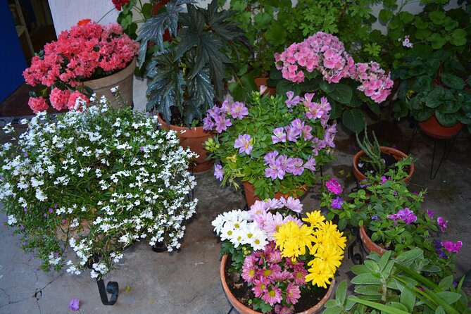 Cordoba Patios & Flowers Private Tour - Additional Information